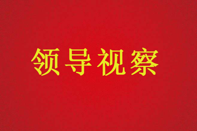 陜西省國土資源廳廳長盧勇一行來不動產(chǎn)登記服務(wù)中心調(diào)研、指導(dǎo)工作